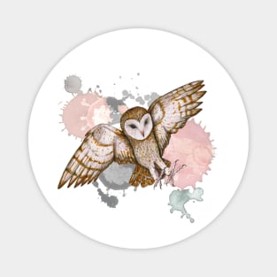 Attacking barn owl watercolor Magnet